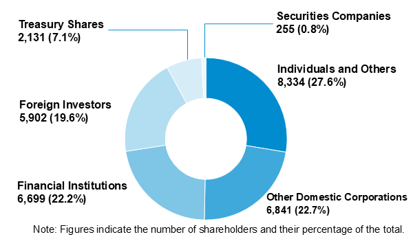 Shareholding Composition by Type